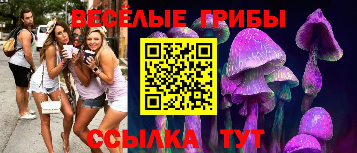 Псилоцибиновые грибы MAGIC MUSHROOMS  Вход с VPN  Псилоцибиновые грибы Magic Shrooms  цены наркотик  Фрязино 